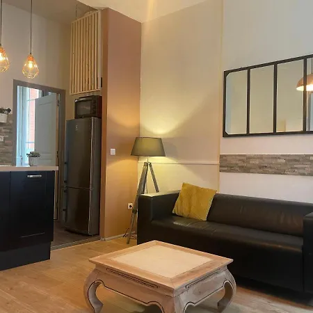 Appartement Cosy En Hyper Centre Toulouse Extérieur photo