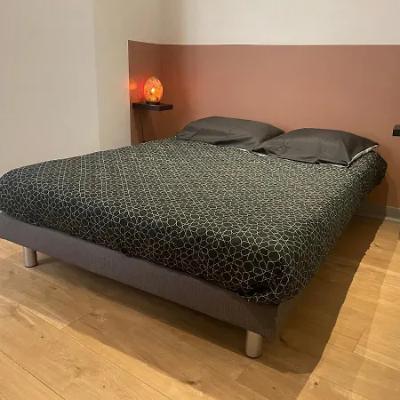Appartement Cosy En Hyper Centre Toulouse Extérieur photo