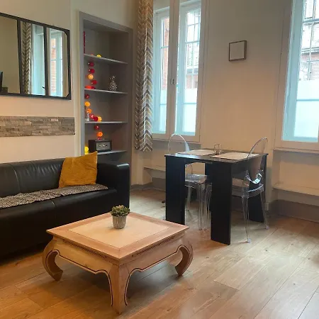 Appartement Cosy En Hyper Centre Toulouse Extérieur photo
