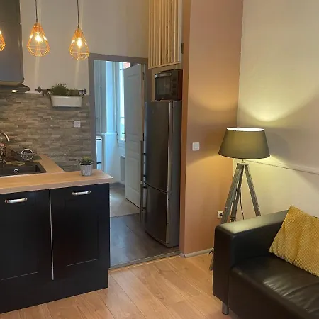 Appartement Cosy En Hyper Centre Toulouse Extérieur photo
