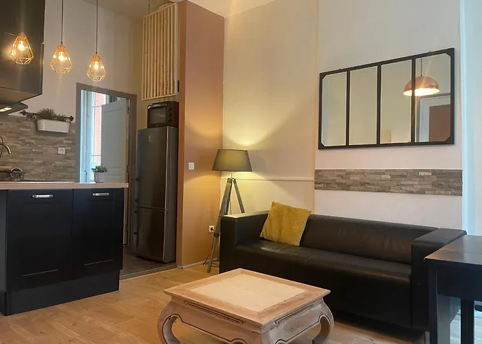 Appartement Cosy En Hyper Centre