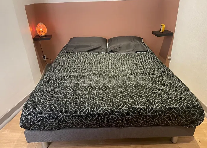 Appartement Cosy En Hyper Centre