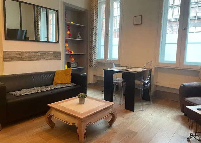 Appartement Cosy En Hyper Centre